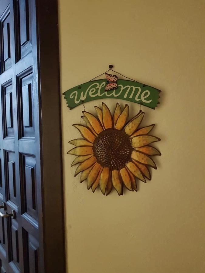 Il Girasole Storico Διαμέρισμα Πιτιλιάνο Εξωτερικό φωτογραφία
