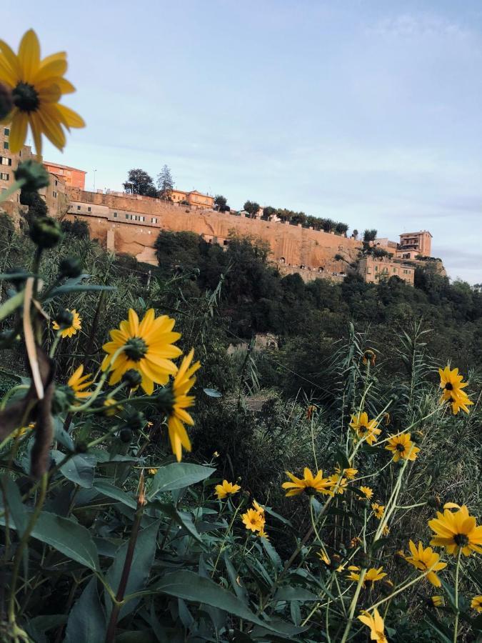 Il Girasole Storico Διαμέρισμα Πιτιλιάνο Εξωτερικό φωτογραφία